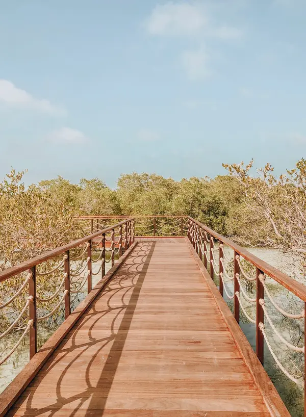 Mangrove National Park