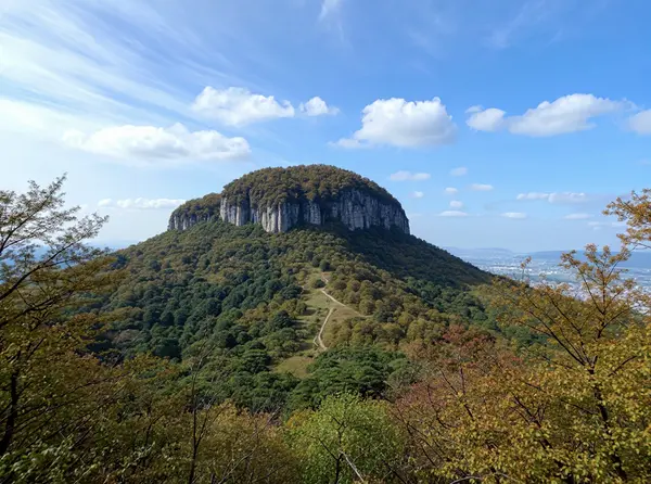 Mount Wakakusa (Wakakusayama) 2