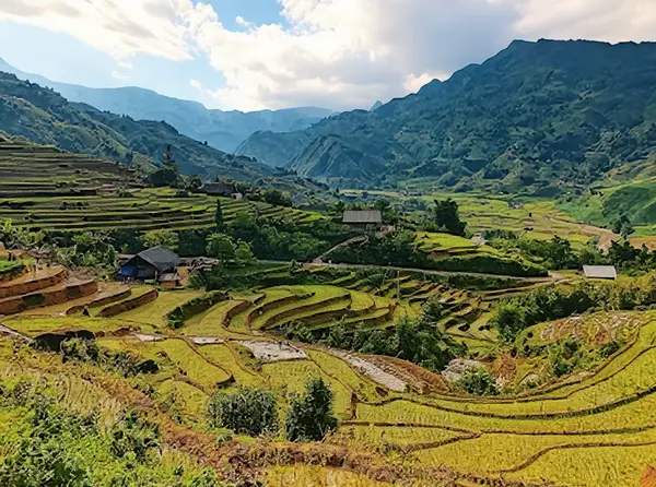 Muong Hoa Valley (Mường Hoa Valley & Rice Terraces)