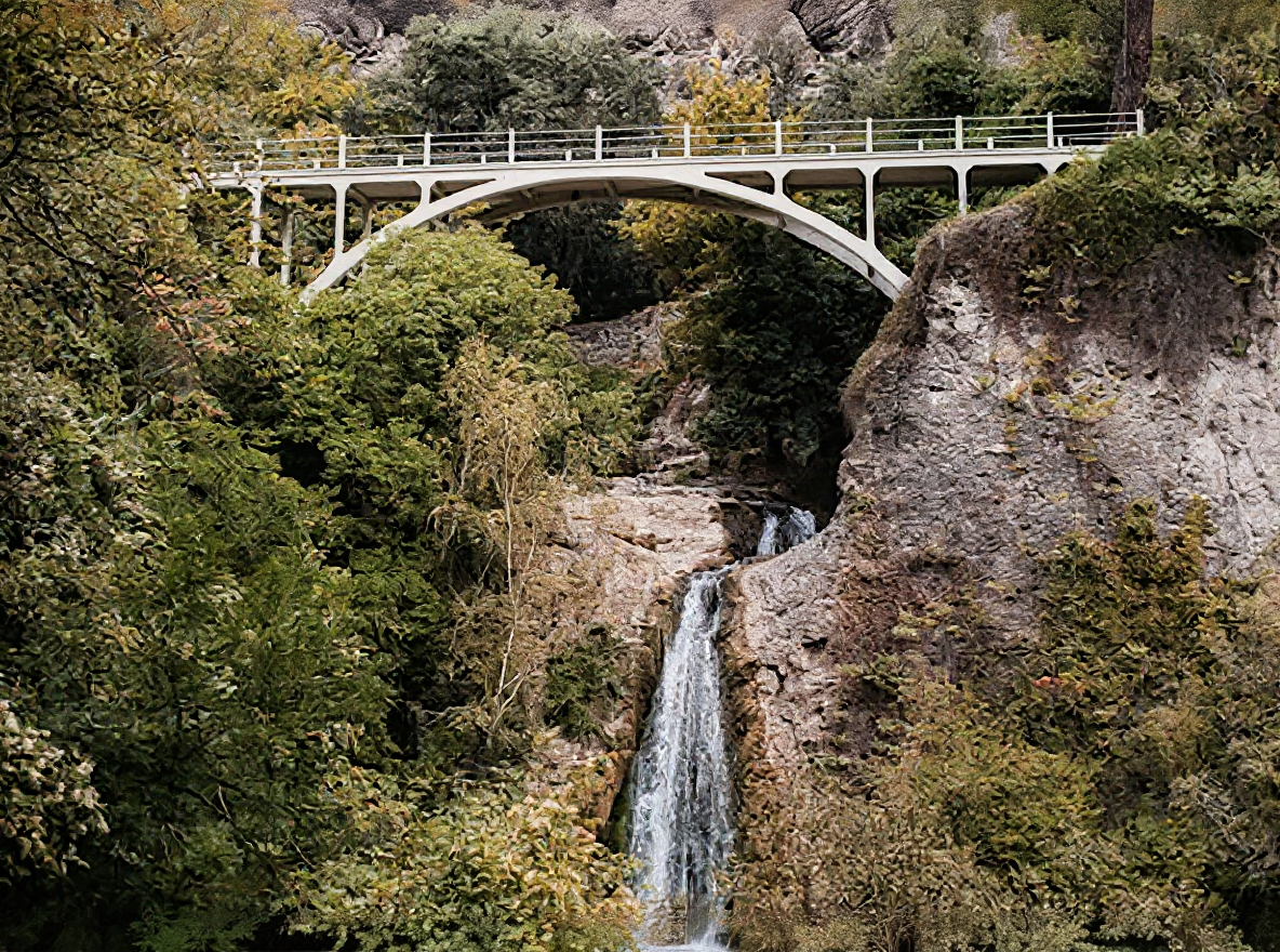 Tbilisi Botanical Garden