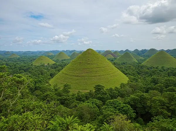 Chocolate Hills