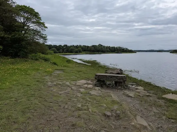 Coole Park Hiking Trail 2