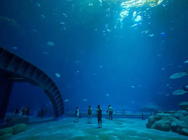 Churaumi Aquarium