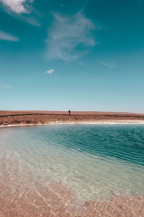 Laguna Chaxa