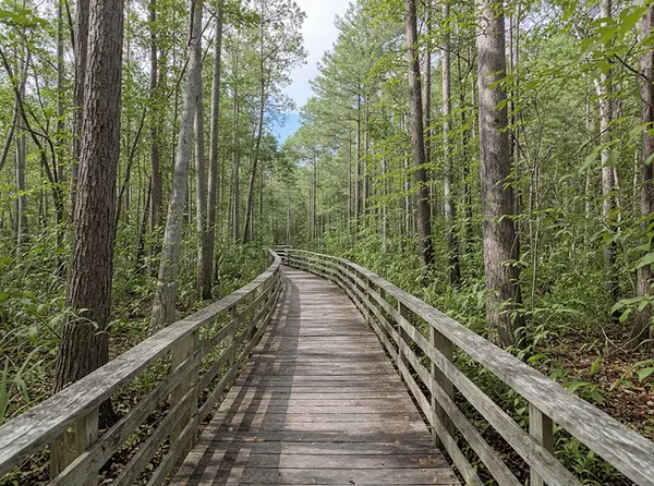 Corkscrew Swamp Sanctuary