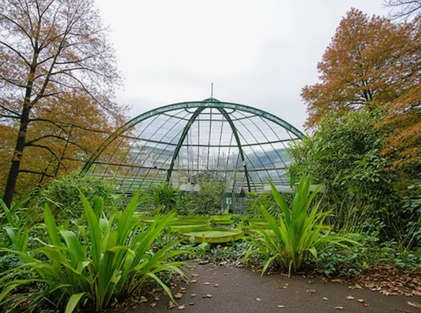 Basel Botanical Garden