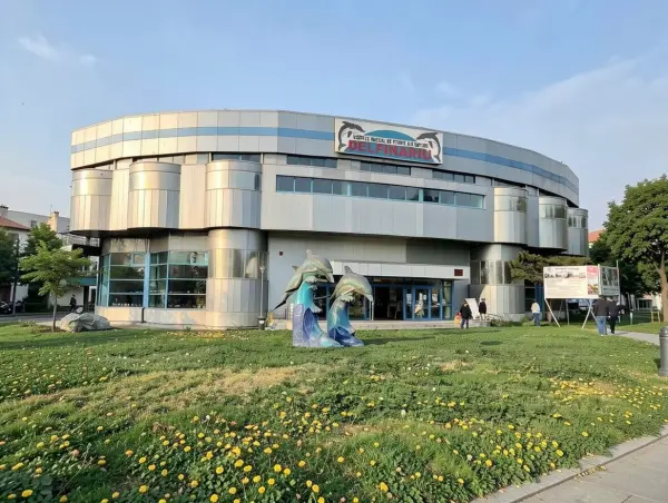The Dolphinarium