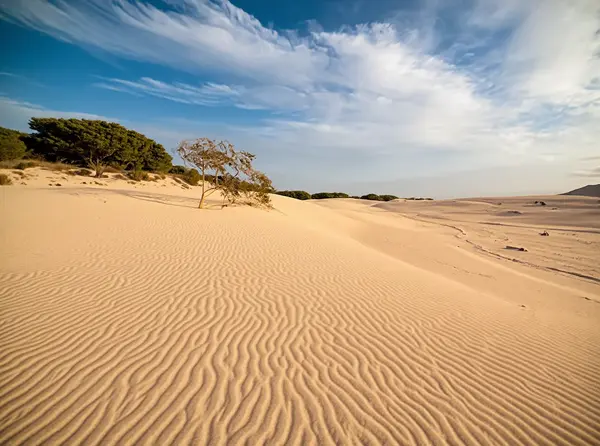 Dunas de Corralejo