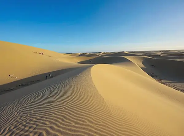 Maspalomas Dunes