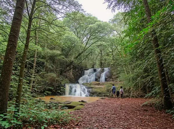 Karura Forest