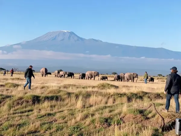 Amboseli National Park