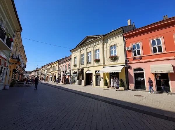 Dunavska Street