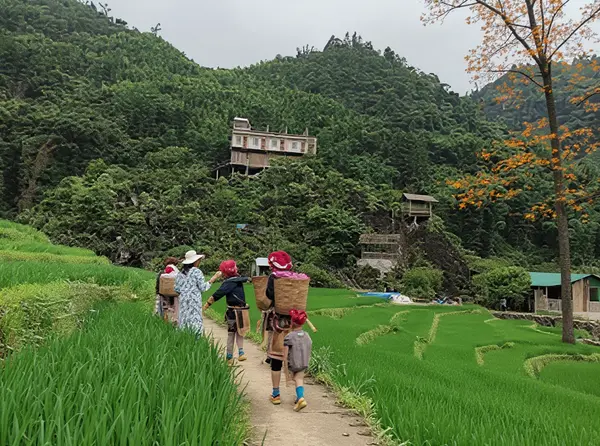 Ta Phin Village (Bản Tả Phìn)