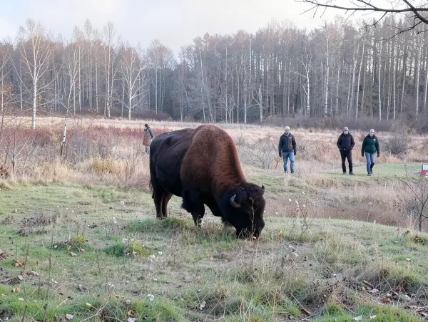 Elk Island National Park