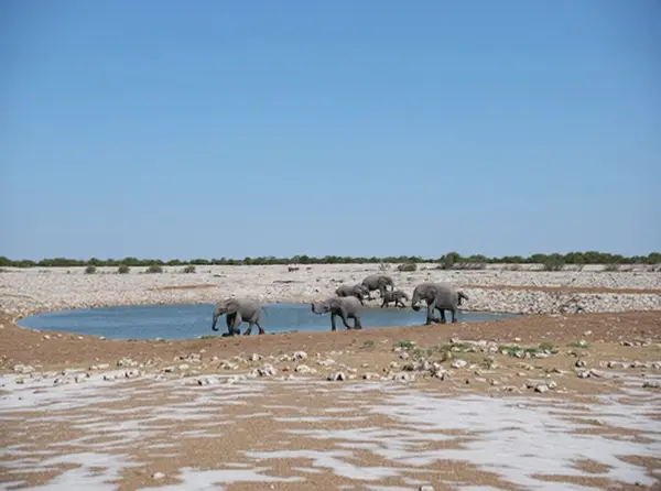 Etosha National Park