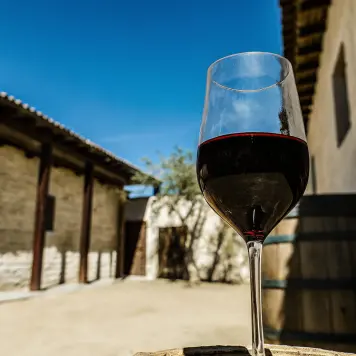Vino de Ica (Ica Valley Wine)