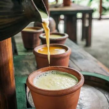 Toddy (Fermented Palm Sap)