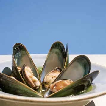 Black Sea Mussels