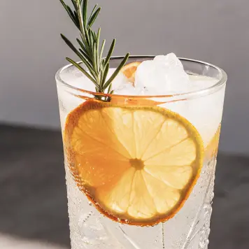 Gin and Tonic