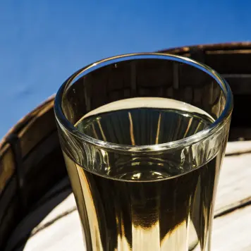 Rakia