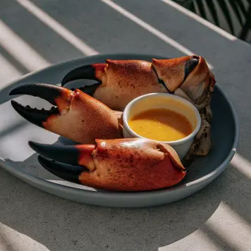 Stone crab claws