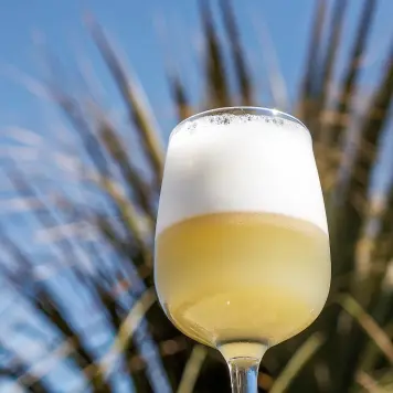 Pisco Sour
