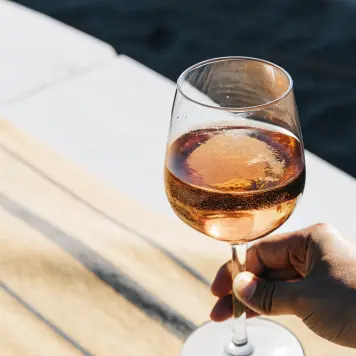 Vi de la Terra Mallorca