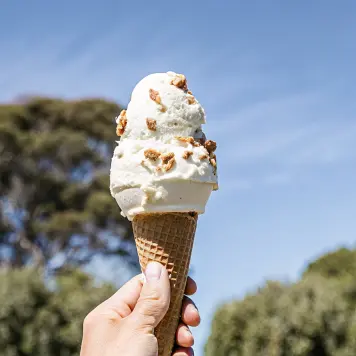 Hokey Pokey Ice Cream