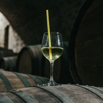 Slovenian White Wine