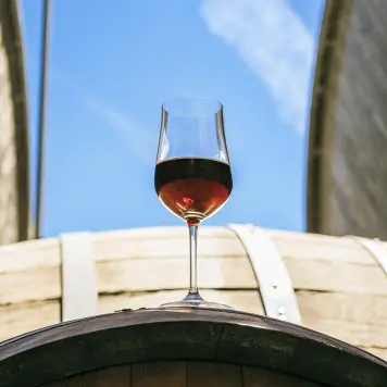 Refošk (Refosco Wine)