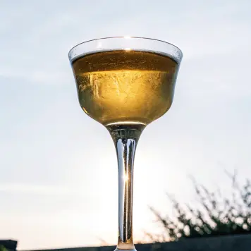 Bajtra Liqueur