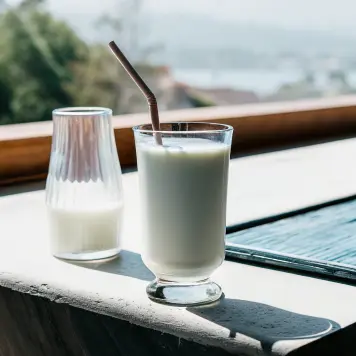 Mandorla Milk (Latte di Mandorla)
