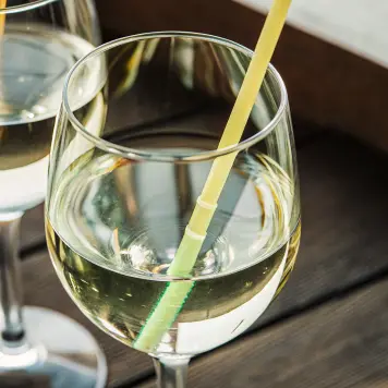 Gruner Veltliner