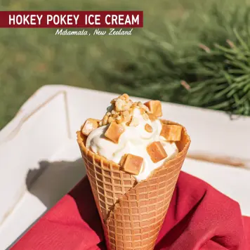 Hokey Pokey Ice Cream