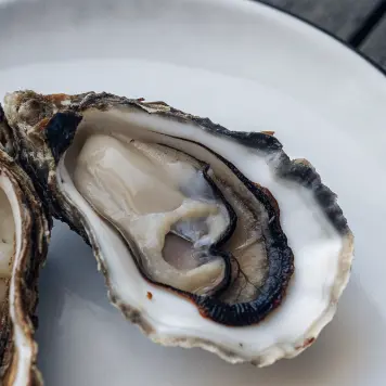 Kaki (Hiroshima Oysters)