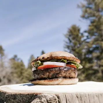 Bison Burger