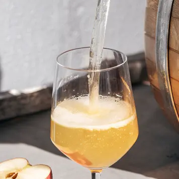 Basque Cider (Sagardoa)