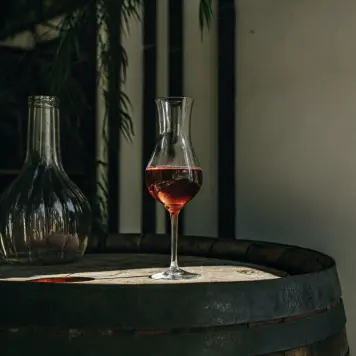 Teran Wine