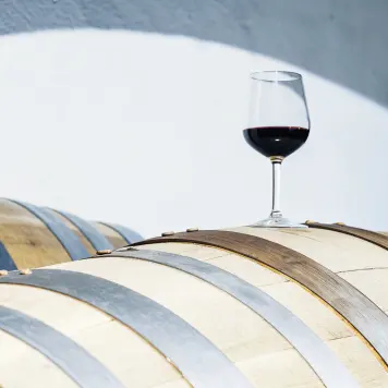 Wine from Ribera del Duero