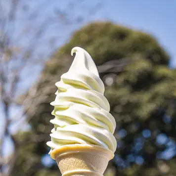 Hokkaido Melon Soft Serve