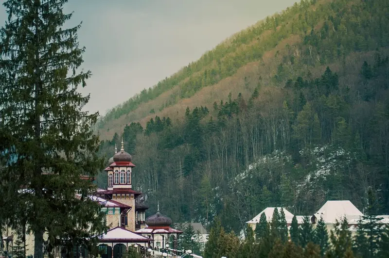 Traditional Romanian building nestled amidst lush forested hills in Romania.