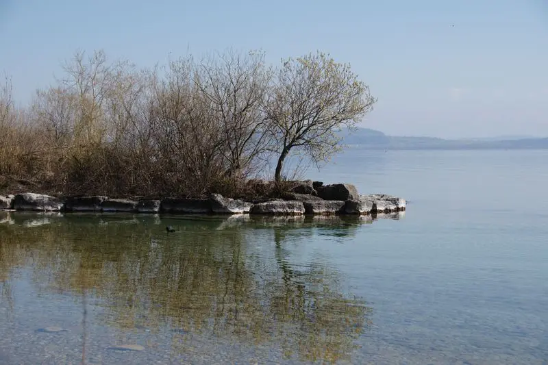 Serene scene of a lake with bare trees reflecting in calm waters on a clear day.