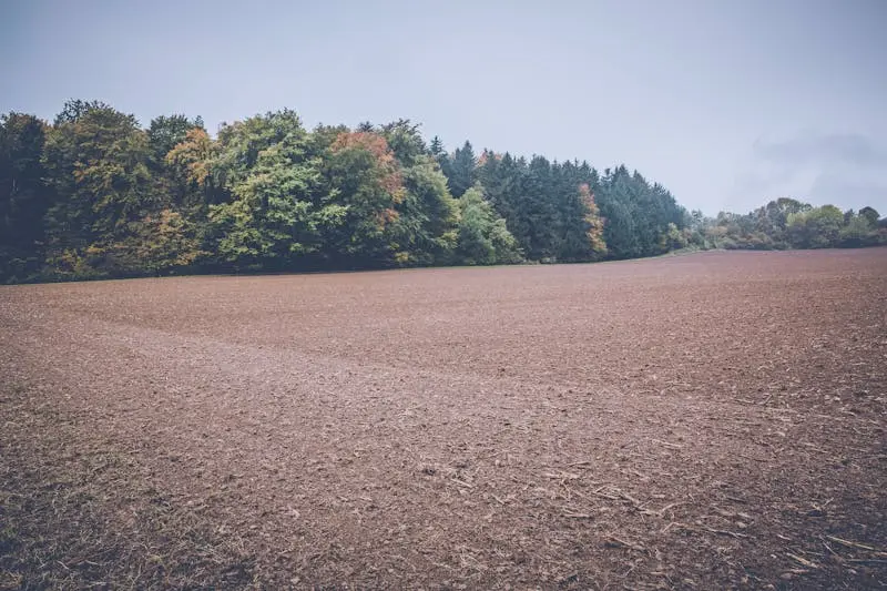 Thingvellir, Iceland