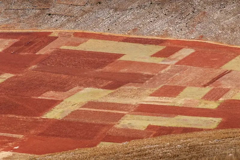 Aerial view showcasing vibrant patchwork farmland patterns in Junín, Perú.
