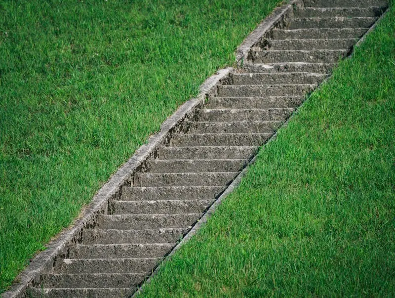 A diagonal concrete staircase surrounded by vibrant green grass, illustrating structure in nature.