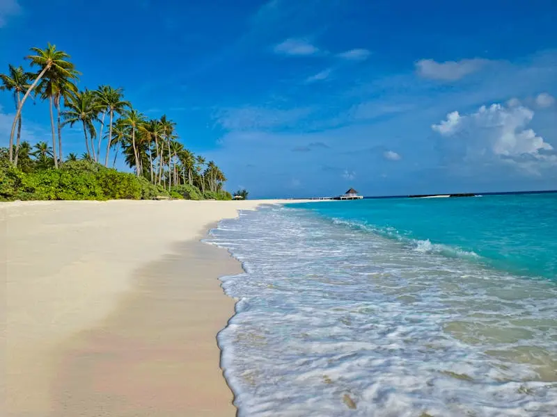 Experience the tranquil beauty of a pristine beach in the Maldives with clear blue waters and lush palm trees.