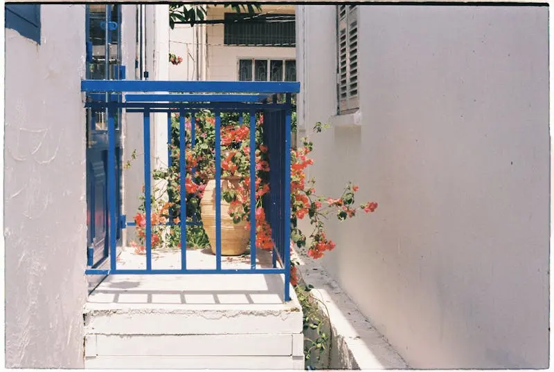 A colorful balcony with flowers blooming over a vibrant blue railing under summer sunlight.