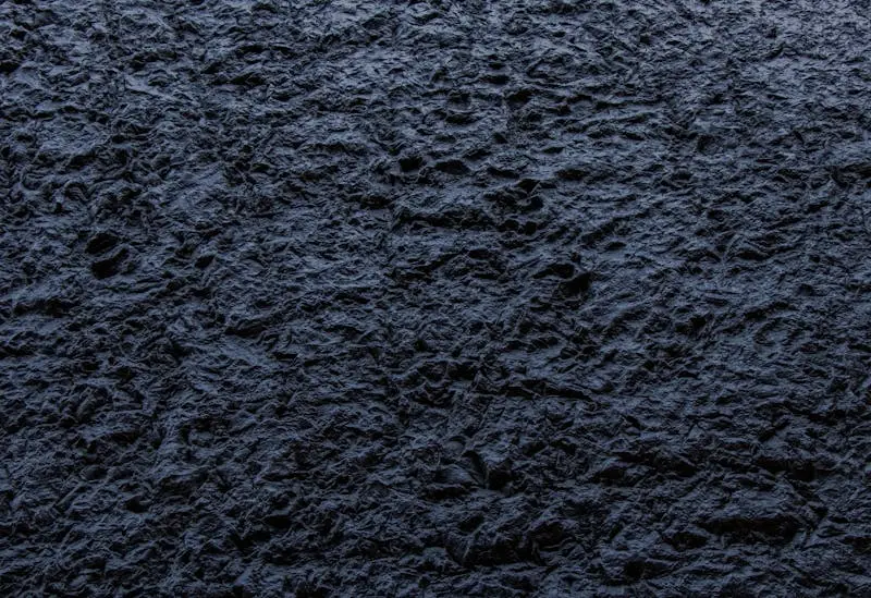 Close-up of a dark, rough textured stone surface providing an abstract background.