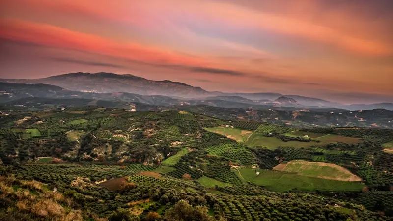 A stunning aerial view of a lush valley with mountains in the distance during a vibrant sunset.