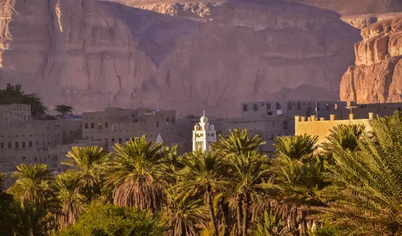 Capture of palm trees and traditional buildings in Yemen against a rocky cliff backdrop.